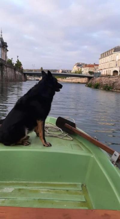 Le Gite Embarque - Gere Par Presta-Zen'Services - Barque Electrique En Supplement Verdun-sur-Meuse Buitenkant foto